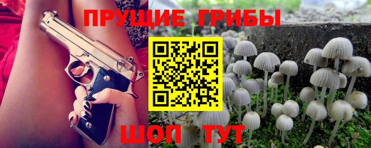 Галлюциногенные грибы MAGIC MUSHROOMS  где продают наркотики  Железногорск  Псилоцибиновые грибы MAGIC MUSHROOMS  Вход с VPN 